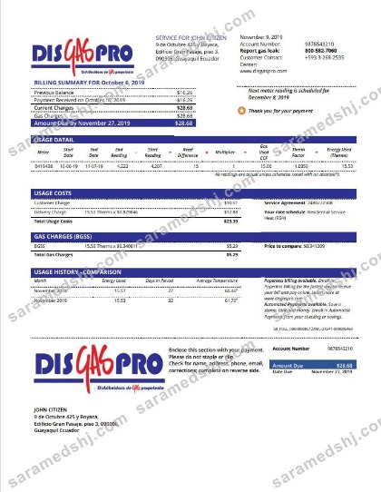 Ecuador Disgaspro gas utility bill template in Word and PDF format